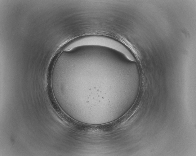 X0000115450203200911251314