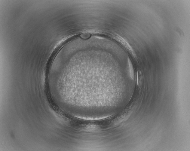 X0000115450204200911251314