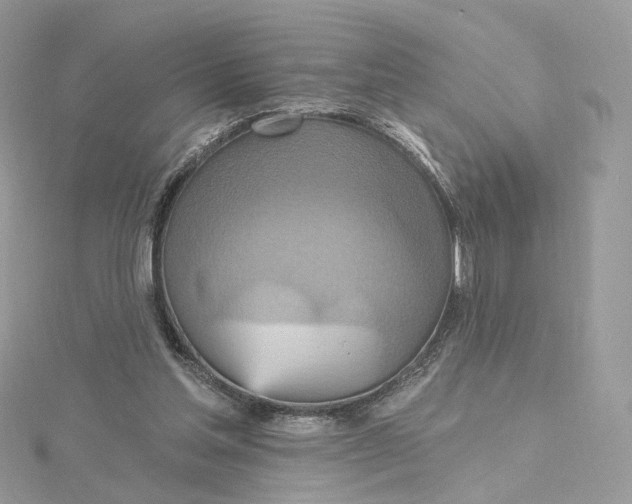 X0000115450205200911251314