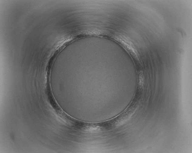 X0000115450206200911251314