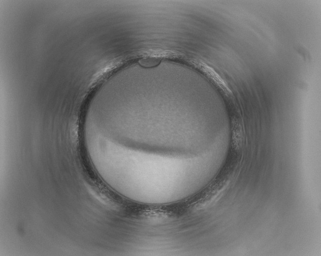 X0000115450207200911251314