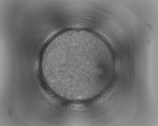 X0000115450208200911251314