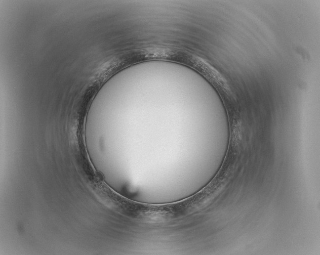 X0000115450209200911251314