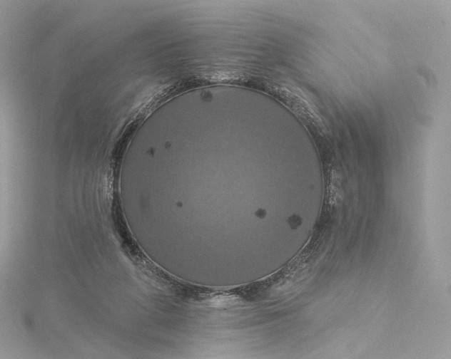 X0000115450210200911251314