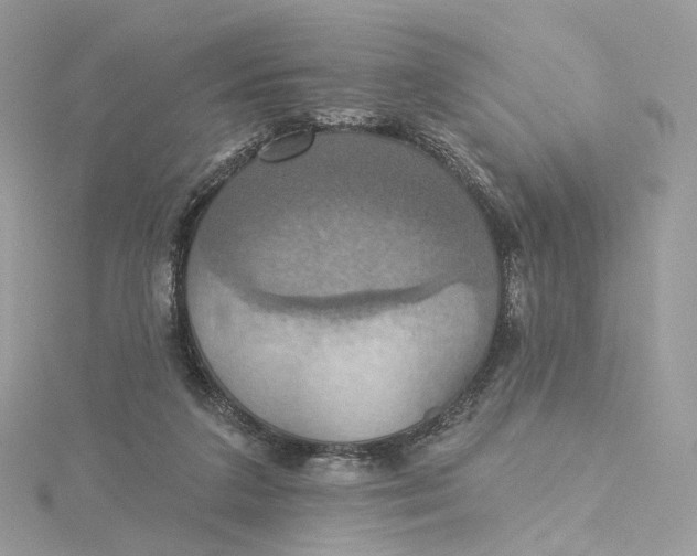 X0000115450211200911251314