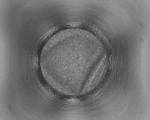 X0000115450212200911251314