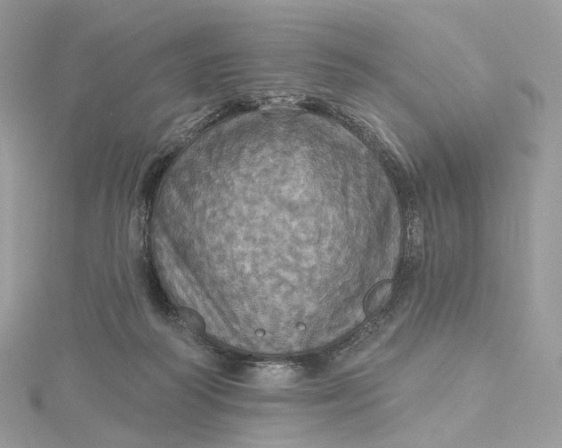 X0000115450218200911251314