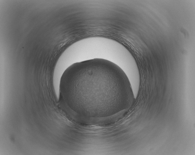 X0000115450219200911251314