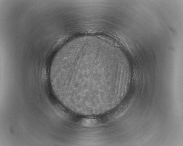 X0000115450220200911251314