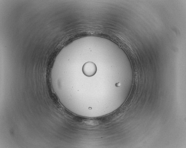 X0000115450221200911251314