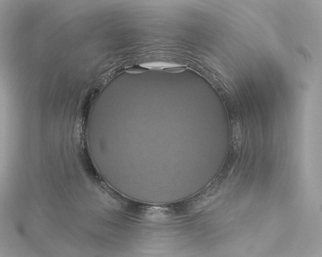 X0000115450222200911251314