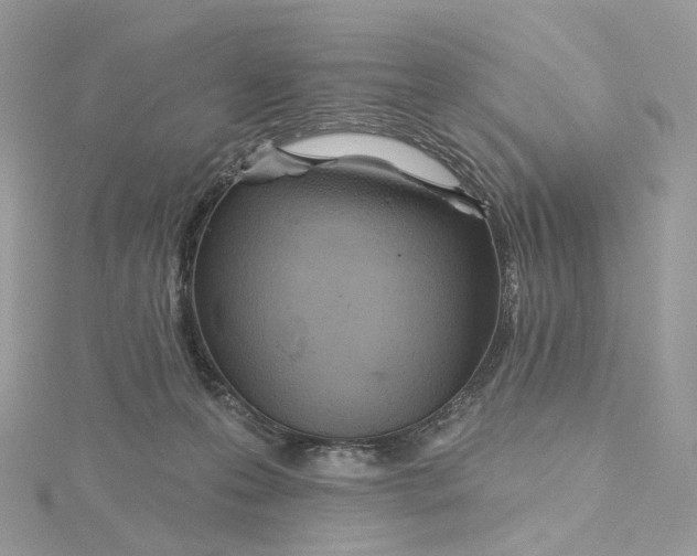 X0000115450223200911251314