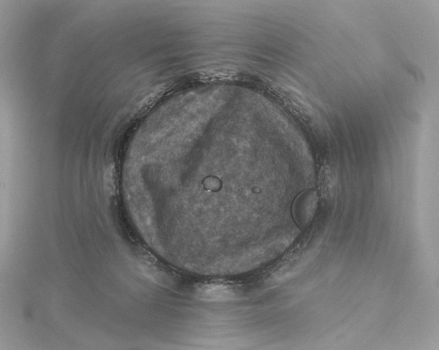 X0000115450224200911251314