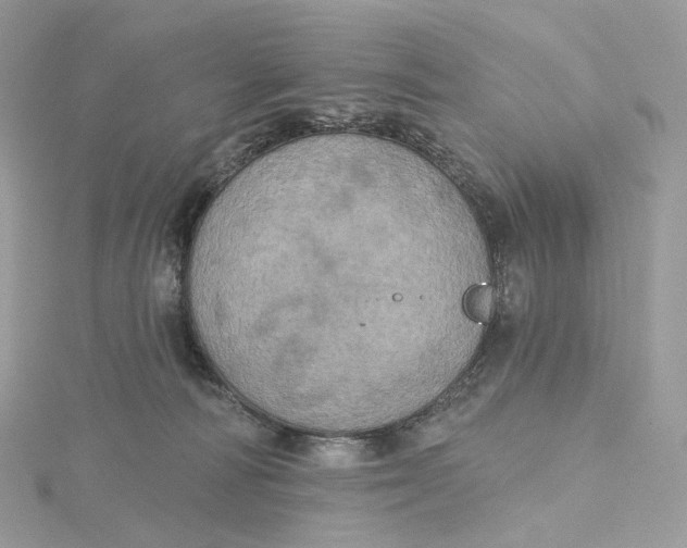 X0000115450226200911251313