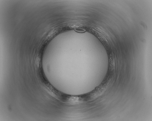 X0000115450227200911251313