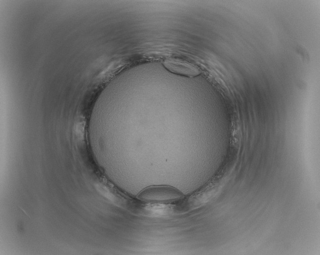 X0000115450231200911251313