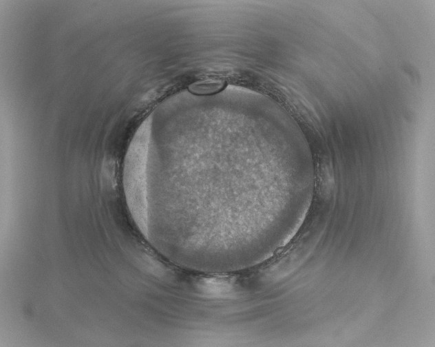 X0000115450232200911251313