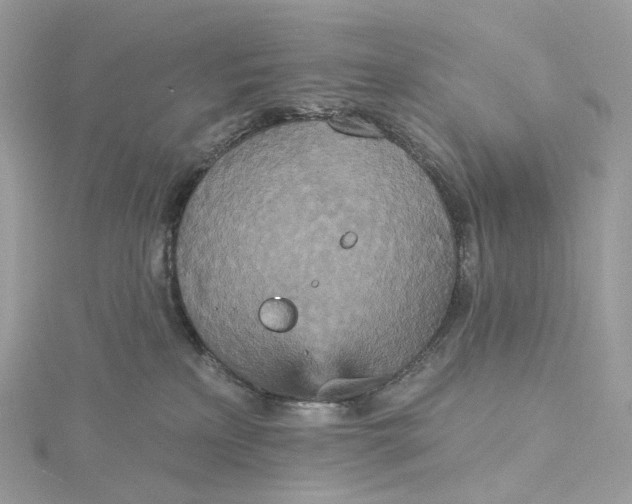 X0000115450233200911251313