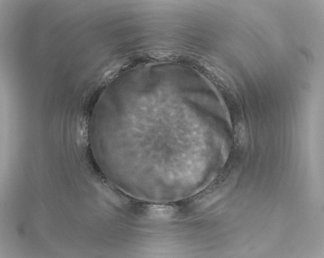 X0000115450234200911251313