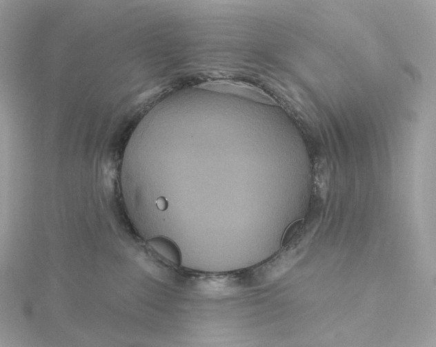 X0000115450235200911251313