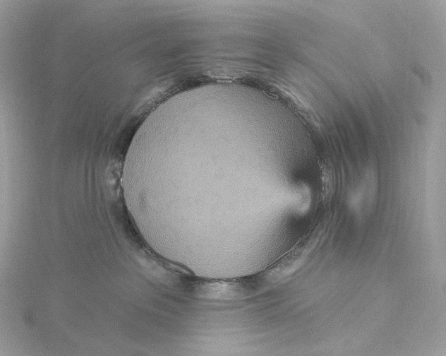 X0000115450237200911251313