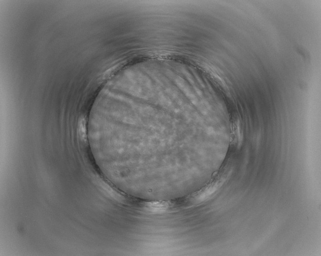 X0000115450238200911251313