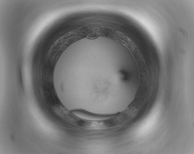 X0000115450239200911251313