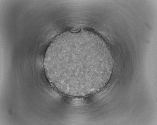 X0000115450240200911251313