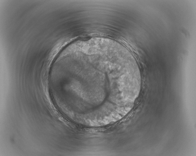 X0000115450241200911251313