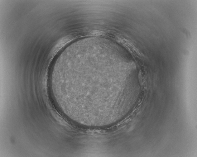 X0000115450242200911251313