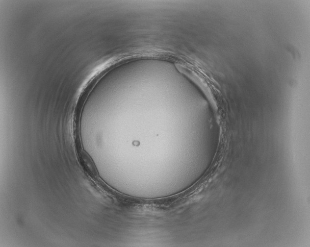 X0000115450244200911251313