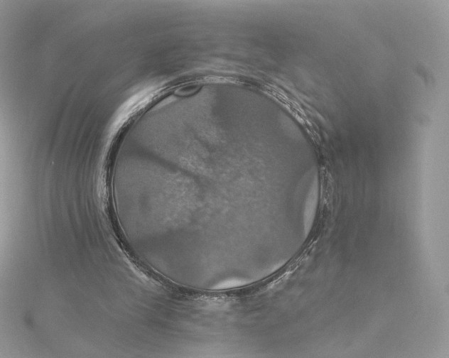 X0000115450245200911251313