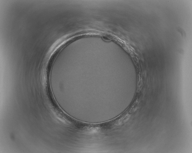 X0000115450247200911251313