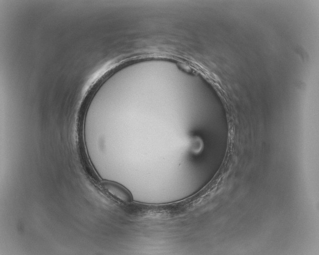 X0000115450248200911251313