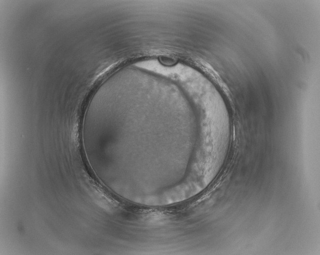 X0000115450249200911251313