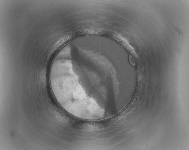 X0000115450250200911251313