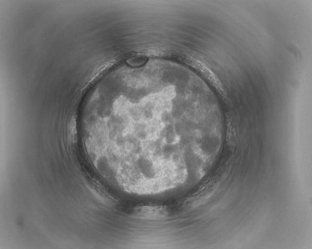 X0000115450251200911251313