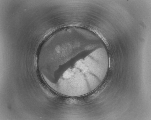 X0000115450253200911251313