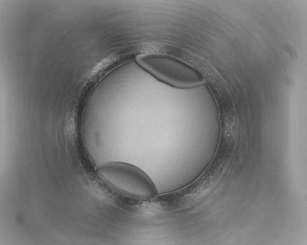 X0000115450256200911251313