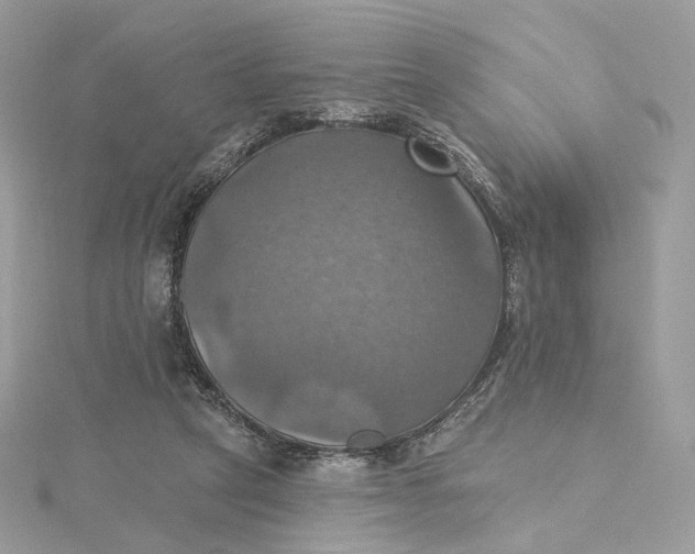 X0000115450257200911251313