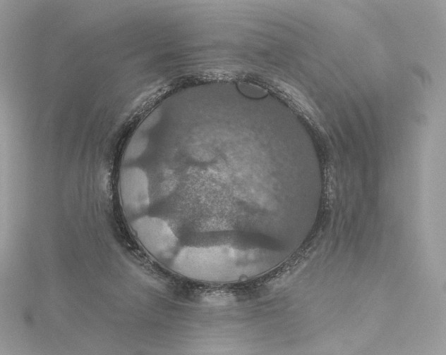 X0000115450258200911251313