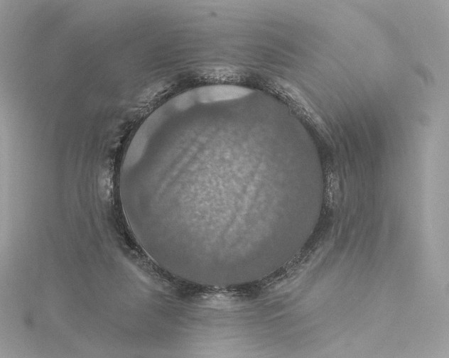 X0000115450259200911251313