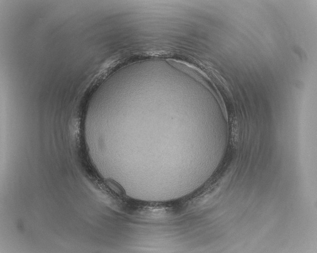 X0000115450260200911251313