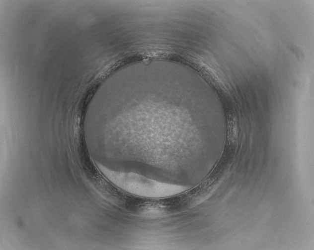 X0000115450263200911251313