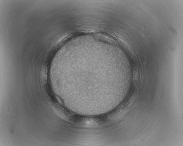 X0000115450264200911251313