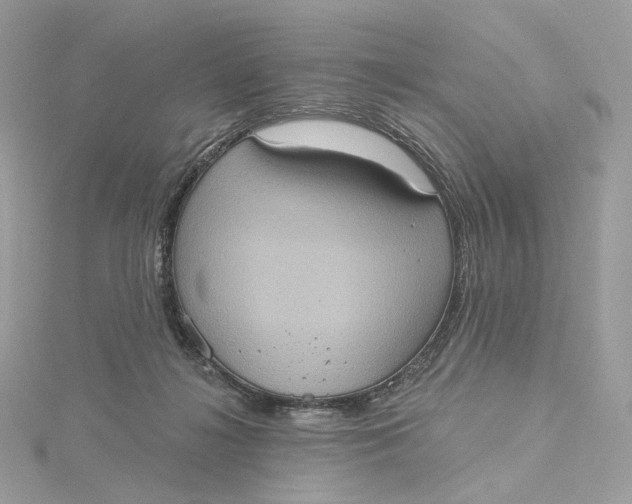 X0000115450268200911251313