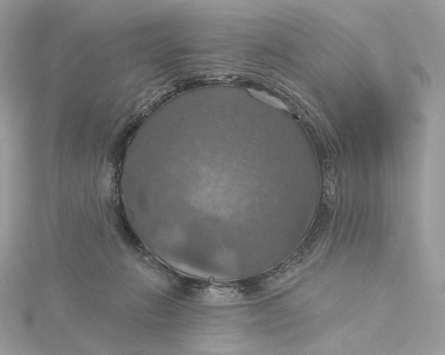 X0000115450270200911251313