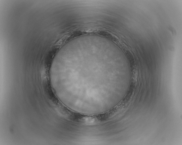 X0000115450272200911251313