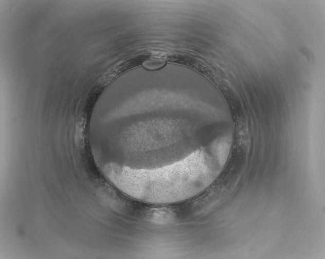 X0000115450275200911251313