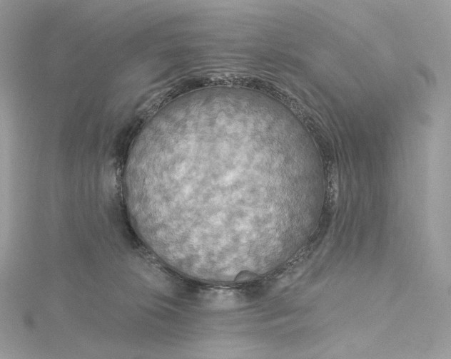 X0000115450276200911251313